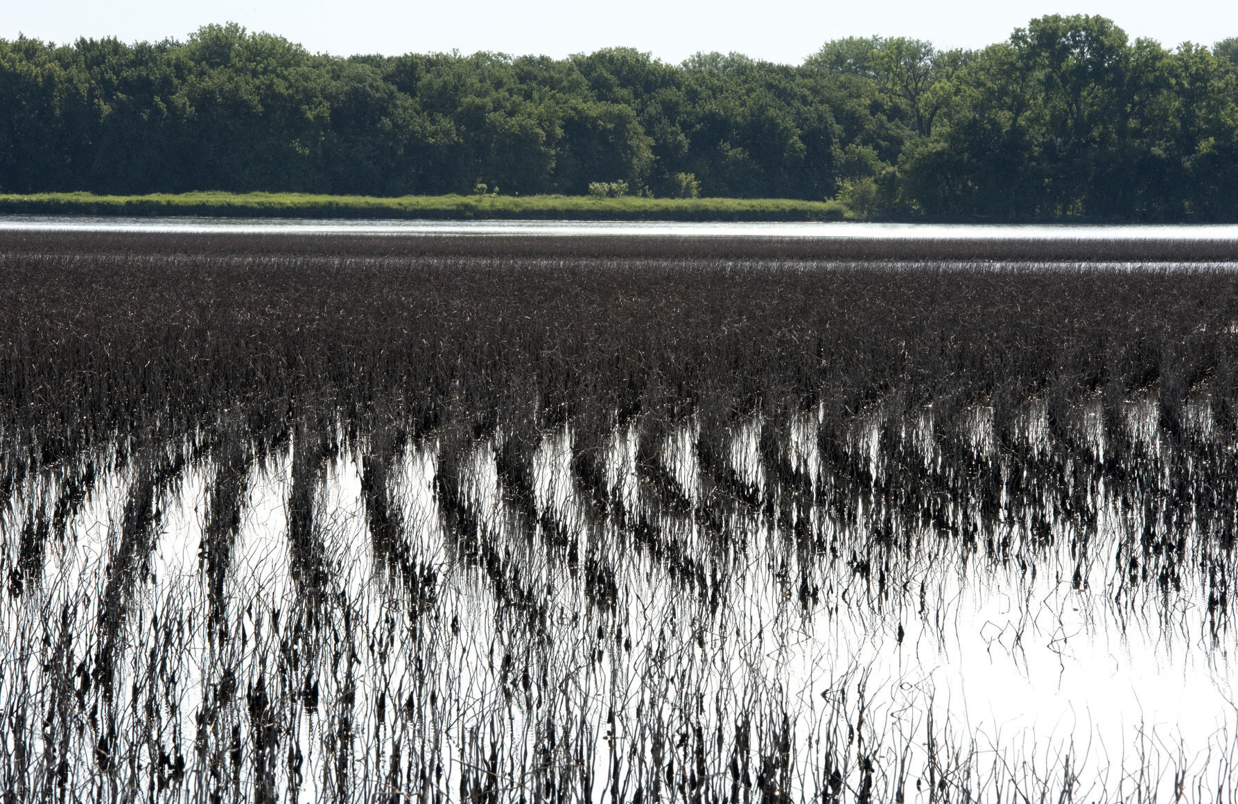 2019 farm field flooding